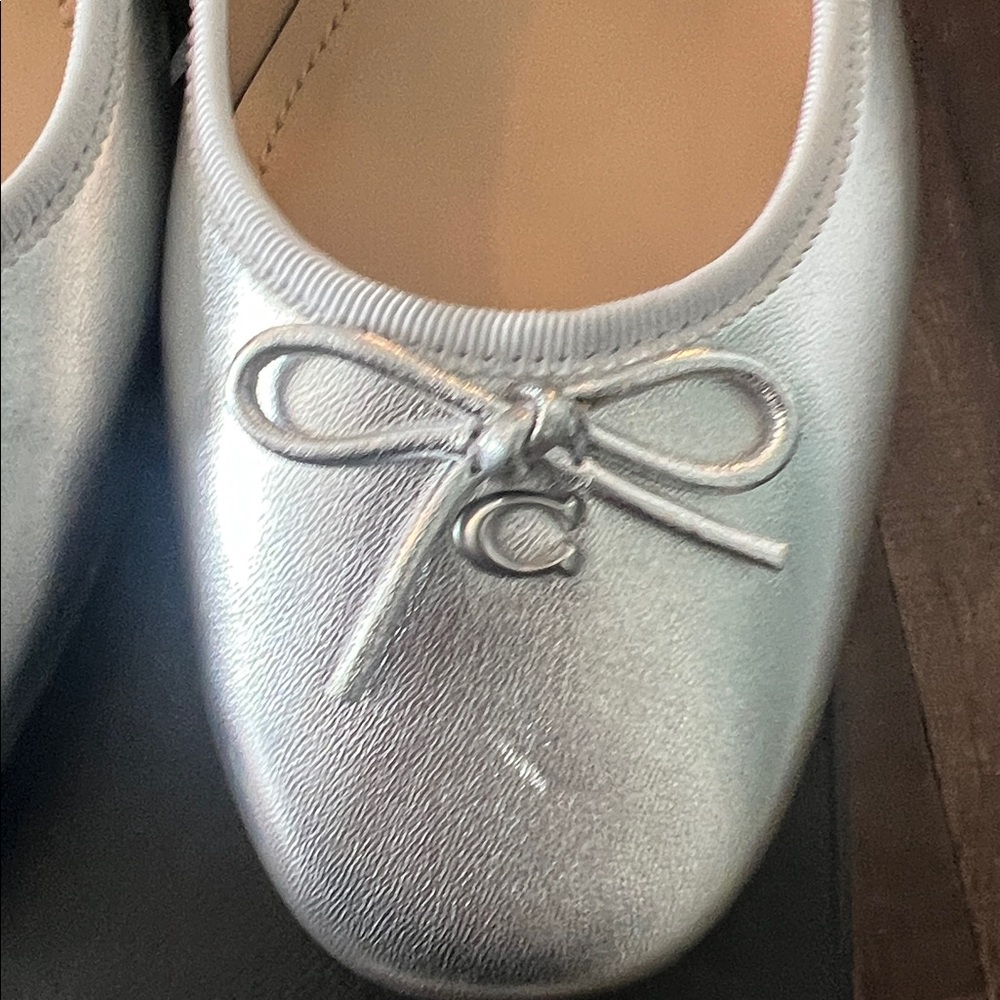 COACH
Women's Ava Ballet
Block-Heel Pumps new size 8 NIB - Picture 3 of 5